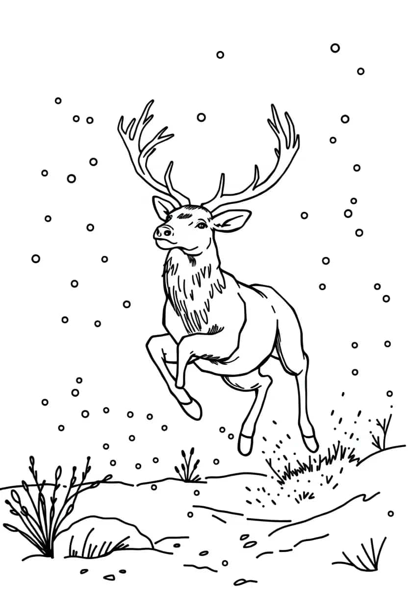 deer drawing coloring ideas pdf template sheet d