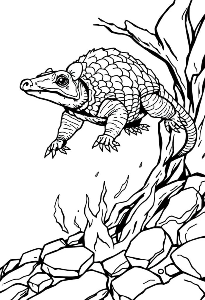 armadillo drawing coloring ideas pdf template sheet be