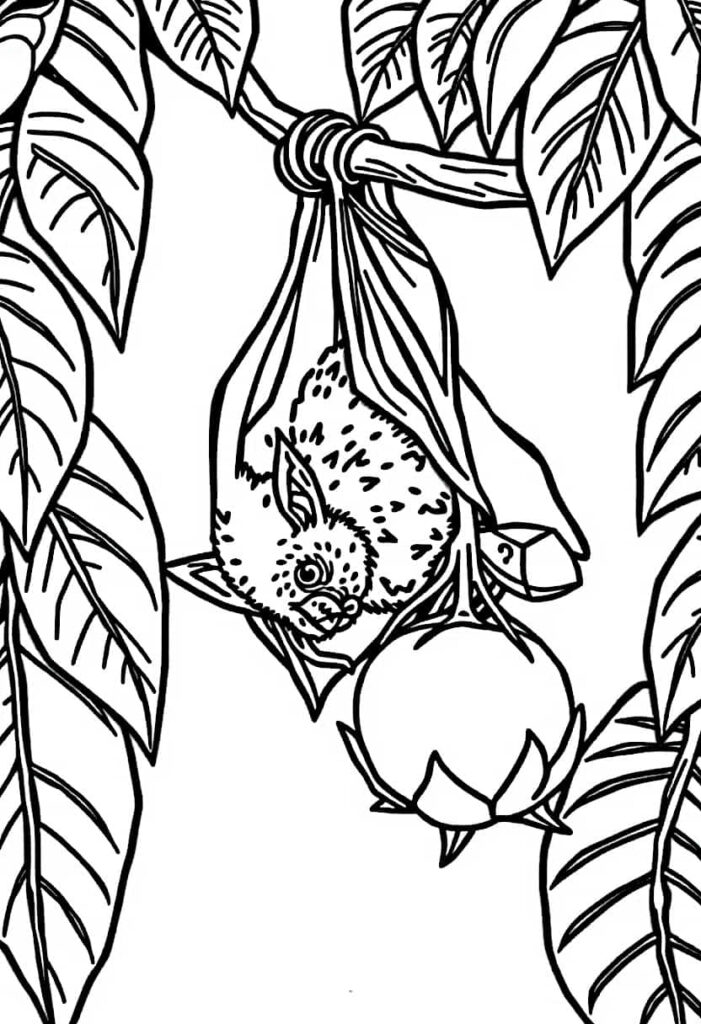 bat drawing coloring ideas pdf template sheet ce