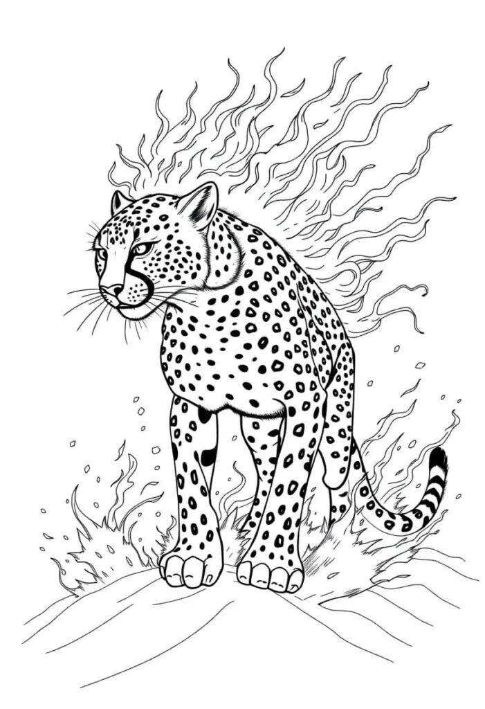 cheetah drawing coloring ideas pdf template sheet