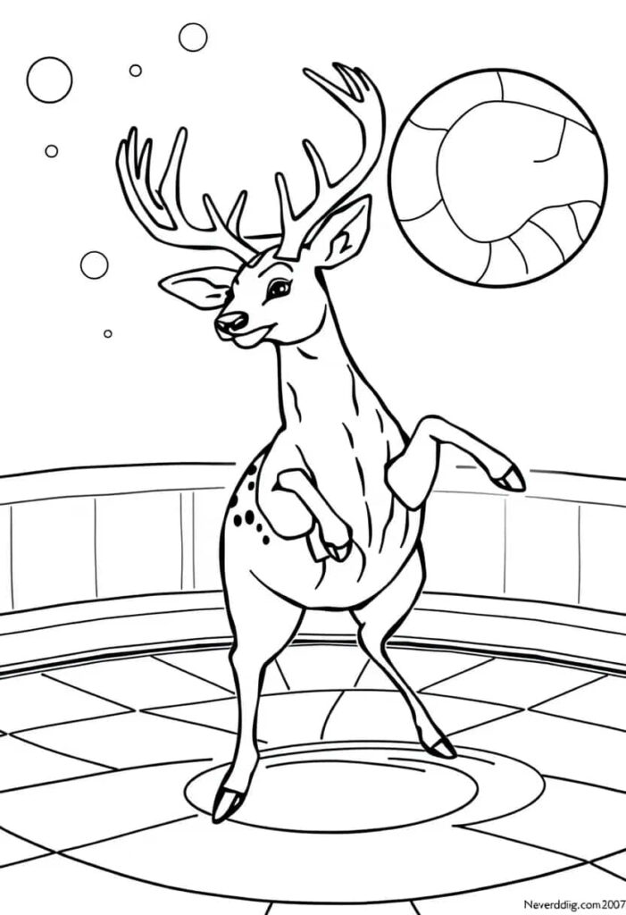 deer drawing coloring ideas pdf template sheet d