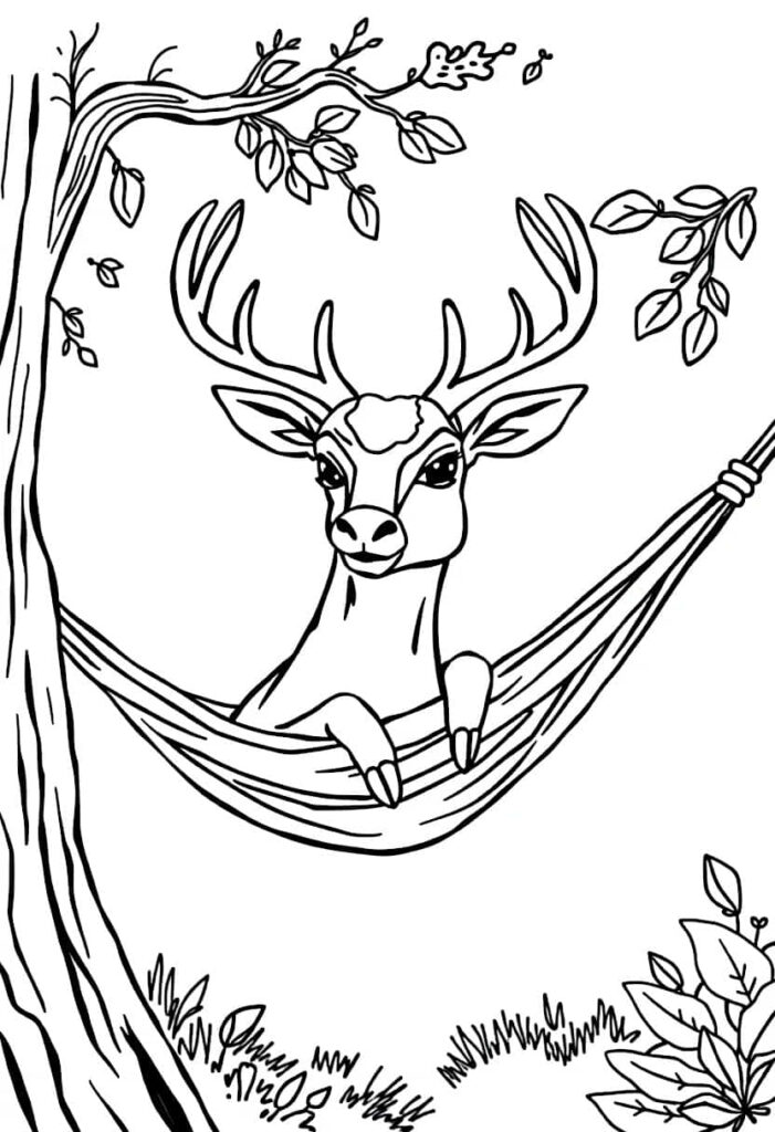 deer drawing coloring ideas pdf template sheet