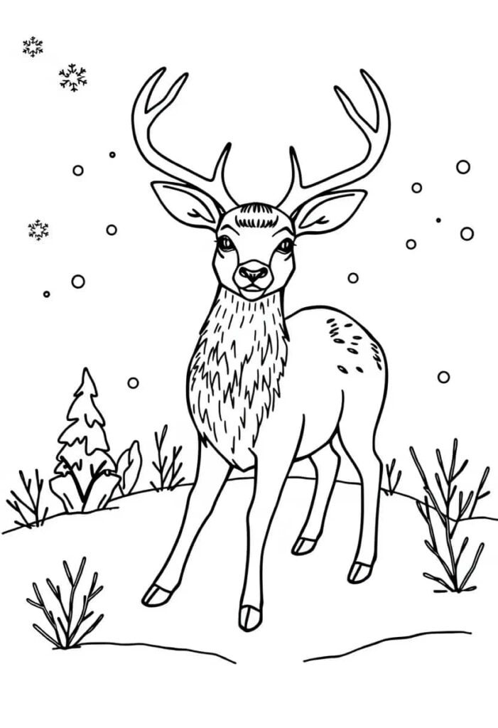 deer drawing coloring ideas pdf template sheet f