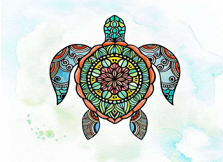 featured turtle drawing ideas