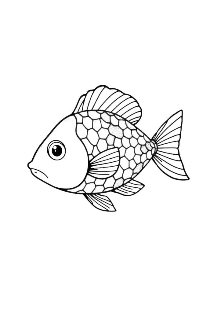 fish drawing coloring ideas pdf template sheet