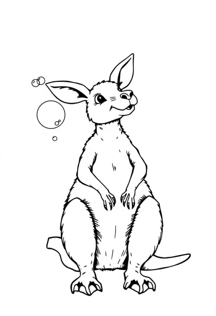 kangaroo drawing coloring ideas pdf template sheet fe