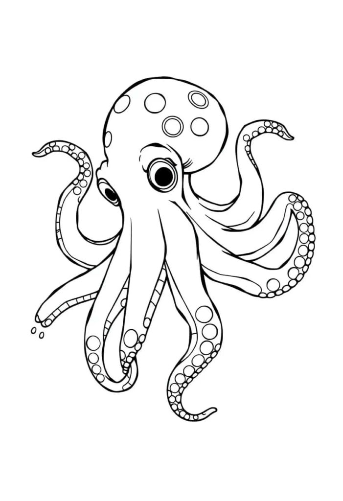 octopus drawing coloring ideas pdf template sheet