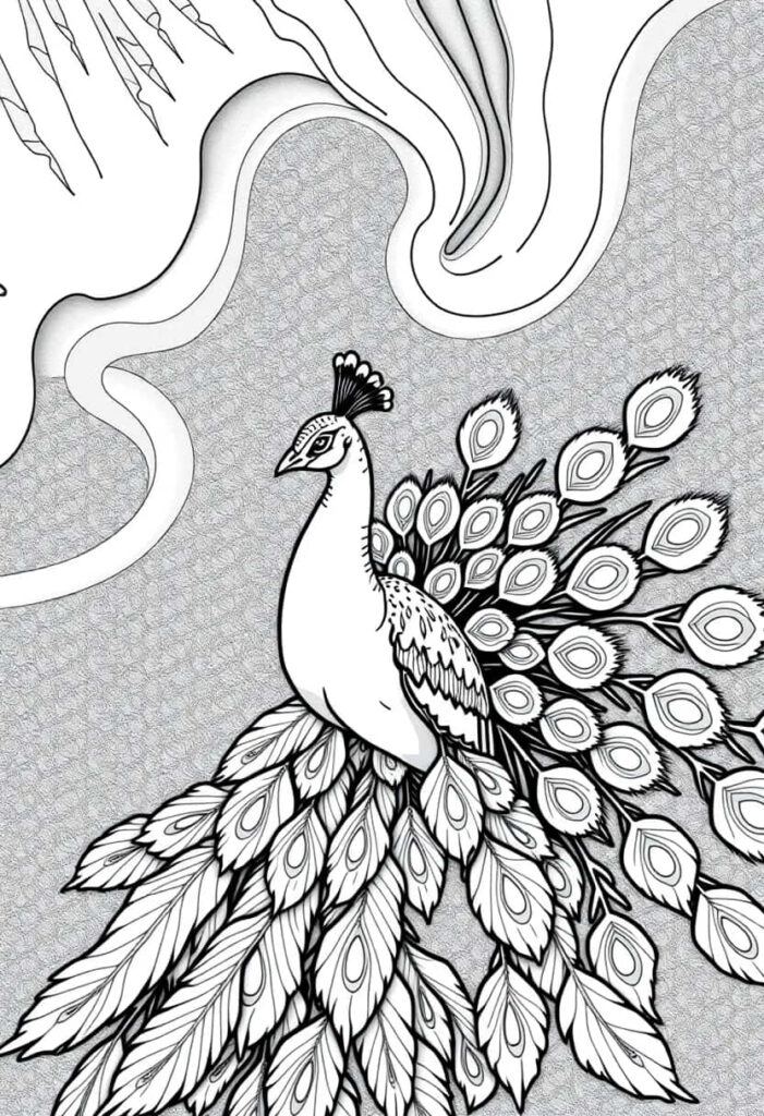 peacock drawing coloring ideas pdf template sheet d
