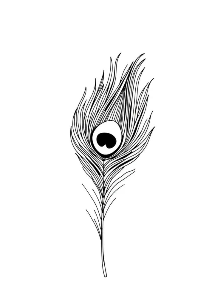 peacock drawing coloring ideas pdf template sheet b