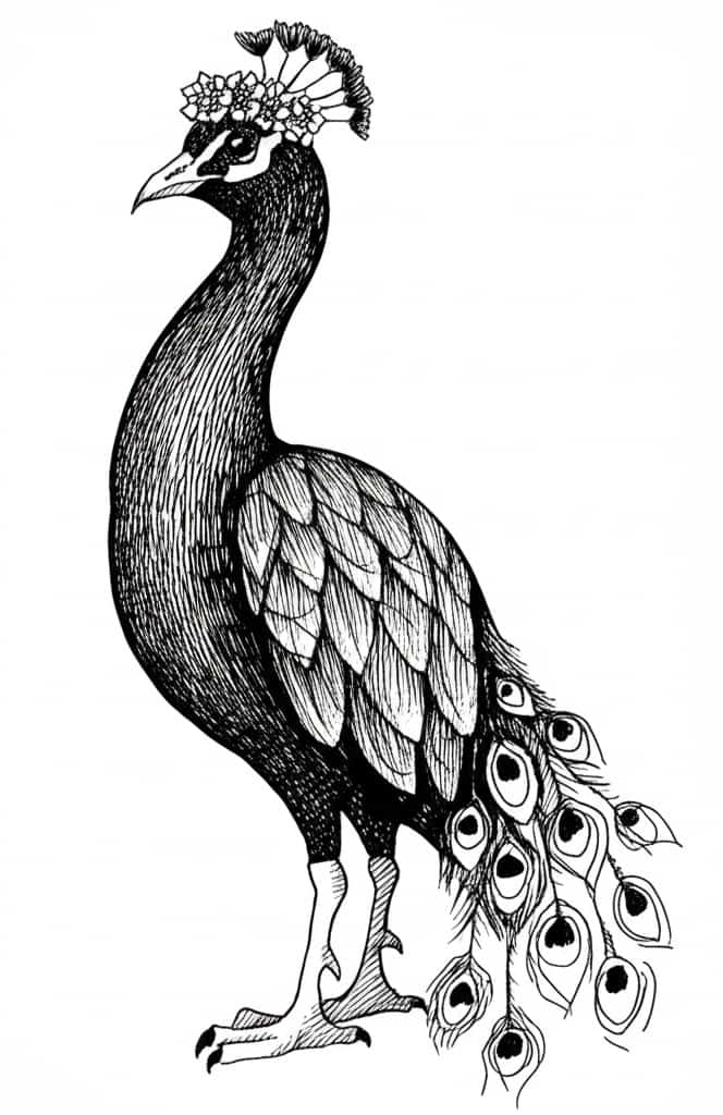 peacock with a flower tiara