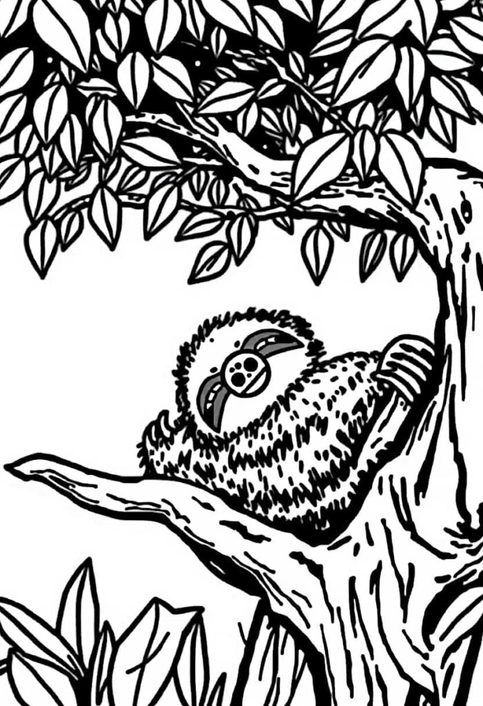 sloth drawing coloring ideas pdf template sheet c
