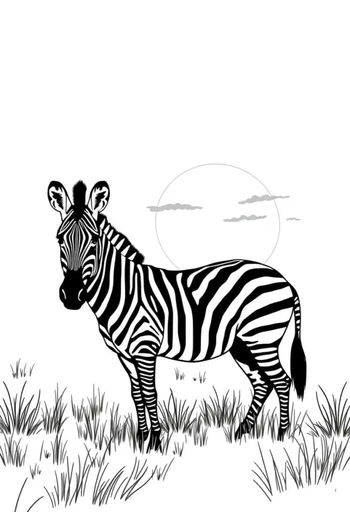 zebra drawing coloring ideas pdf template sheet bd