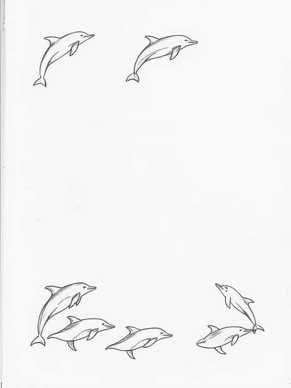 dolphin drawing sketch