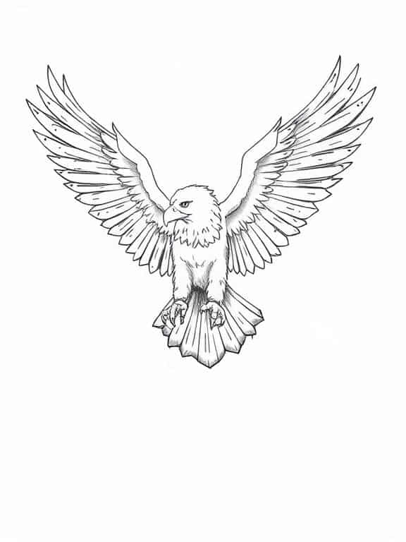 eagle drawing art sketch da