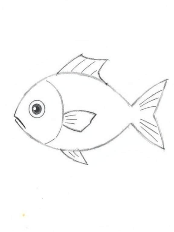 fish drawing art sketch ideas e
